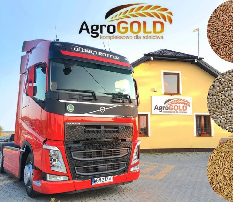 Agro gold fhu Wioleta Prysak